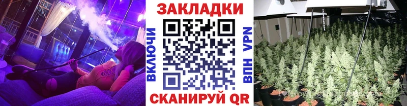 Псилоцибиновые грибы Починок